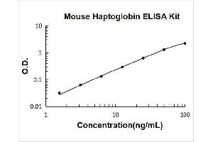 Typical Standard Curve