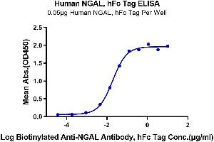 Lipocalin 2 (LCN2) (AA 21-198) protein (Fc Tag)