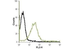 Cell surface detection of Histamine H4 receptor in live intact Jurkat (acute T-cell leukemia) cell lines: (black line) Unstained cells + goat-anti-rabbit-PE. (HRH4 抗体  (1st Extracellular Loop))