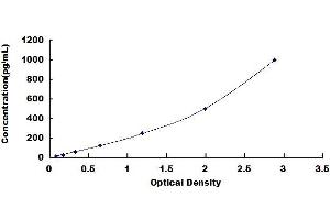 Typical standard curve (CRLF1 ELISA 试剂盒)