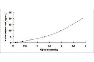 Typical standard curve (LRPPRC ELISA 试剂盒)