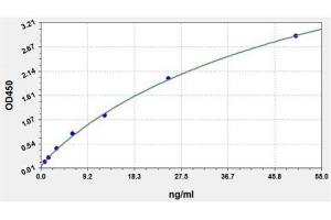 Typical standard curve (SARS-CoV-2 N-Protein IgM Antibody ELISA 试剂盒)