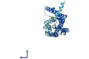 Protein Structure (PS) image for Olfactory Receptor, Family 5, Subfamily I, Member 1 (OR5I1) (AA 1-314) protein (His tag) (ABIN7550462)