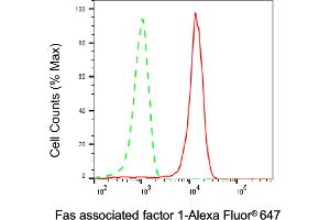 Flow cytometric analysis of Fas associated factor 1 expression in HepG2 cells using Fas associated factor 1 antibody (ABIN7798576), 1:1,000).