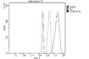 Flow Cytometry analysis of HL-60 cells using anti-MCM6 antibody (ABIN7600038). (MCM6 抗体  (AA 14-821))