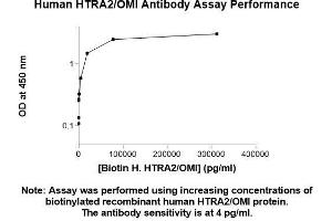 Image no. 1 for anti-HtrA Serine Peptidase 2 (HTRA2) (AA 134-458) antibody (ABIN5565372) (HTRA2 抗体  (AA 134-458))