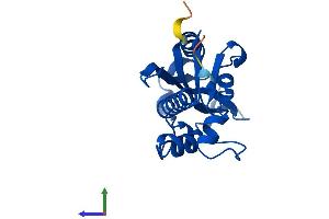 AlphaFold protein structure predicition of Human Recombinant ISG20 Protein, UniprotID Q96AZ6