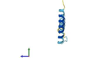 AlphaFold protein structure predicition of Mouse Recombinant Serf2 Protein, UniprotID P84102
