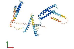 Protein Structure (PS) image for DnaJ (Hsp40) Homolog, Subfamily C, Member 28 (DNAJC28) (AA 1-385) protein (His tag) (ABIN7559814)