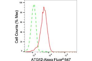 Flow cytometric analysis of ATG12 expression in HepG2 cells using ATG12 antibody (ABIN7797707), 1:2,000).