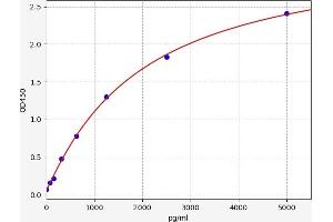 Typical standard curve (PRKACB ELISA 试剂盒)