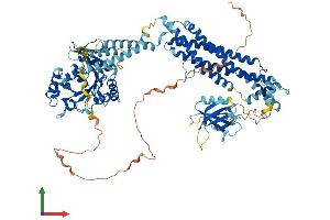 AlphaFold protein structure predicition of Human Recombinant DNM1 Protein, UniprotID Q05193
