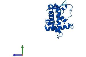 AlphaFold protein structure predicition of Human Recombinant RPS5 Protein, UniprotID P46782