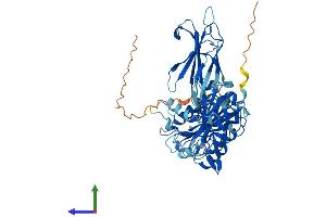 Protein Structure (PS) image for Copine VIII (CPNE8) (AA 1-577) protein (His tag) (ABIN7561321)
