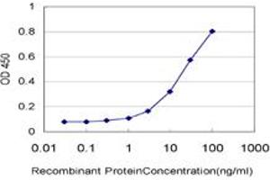 Detection limit for recombinant GST tagged TRIM37 is approximately 0. (TRIM37 抗体  (AA 865-964))