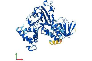 Protein Structure (PS) image for GDP Dissociation Inhibitor 1 (GDI1) (AA 1-447) protein (His tag) (ABIN7547870)