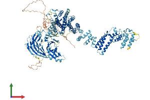 Protein Structure (PS) image for Nucleoporin 133kDa (NUP133) (AA 1-1155) protein (His tag) (ABIN7564684)