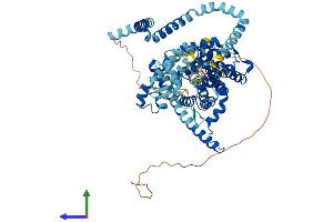 Protein Structure (PS) image for Solute Carrier Family 28 (Sodium-Coupled Nucleoside Transporter), Member 3 (SLC28A3) (AA 1-703) protein (His tag) (ABIN7565052)
