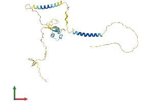 Protein Structure (PS) image for LysM, Putative Peptidoglycan-Binding, Domain Containing 4 (LYSMD4) (AA 1-296) protein (His tag) (ABIN7549185)