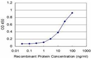Detection limit for recombinant GST tagged PBX3 is approximately 1ng/ml as a capture antibody. (PBX3 抗体  (AA 342-434))