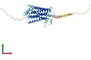 Protein Structure (PS) image for Tachykinin Receptor 2 (TACR2) (AA 1-384) protein (His tag) (ABIN7563090)