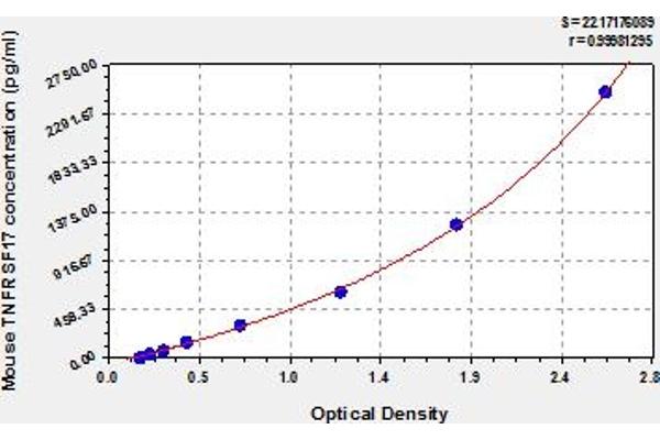 BCMA ELISA 试剂盒