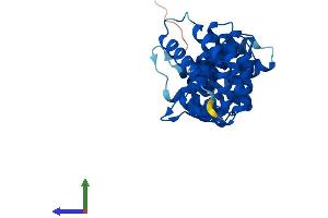 Protein Structure (PS) image for Calcium Binding Protein 39-Like (CAB39L) (AA 1-337) protein (His tag) (ABIN7552999)