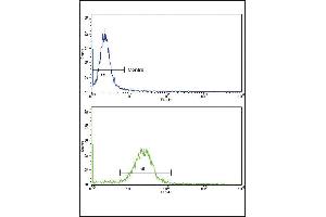 Flow cytometric analysis of MDA-231 cells using EPN3 Antibody (N-term)(bottom histogram) compared to a negative control cell (top histogram). (EPN3 抗体  (N-Term))