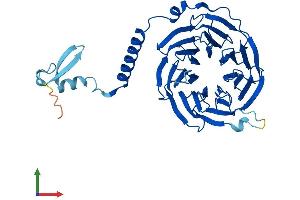 Protein Structure (PS) image for Guanine Nucleotide Binding Protein (G Protein), beta 5 (GNB5) (AA 1-395) protein (His tag) (ABIN7556624)