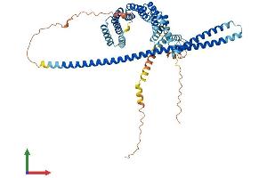 Protein Structure (PS) image for Kinesin Light Chain 1 (KLC1) (AA 1-541) protein (His tag) (ABIN7562603)