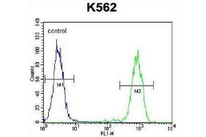 ELAVL2 Antibody (Center) flow cytometric analysis of K562 cells (right histogram) compared to a negative control cell (left histogram). (ELAVL2 抗体  (Middle Region))