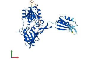 Protein Structure (PS) image for NIF3 NGG1 Interacting Factor 3-Like 1 (NIF3L1) (AA 1-377) protein (His tag) (ABIN7549833)