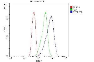 Flow Cytometry analysis of CACO-2 cells using anti- eRF1/ETF1 antibody (ABIN7602625).
