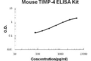 Mouse TIMP-4 PicoKine ELISA Kit standard curve (TIMP4 ELISA 试剂盒)