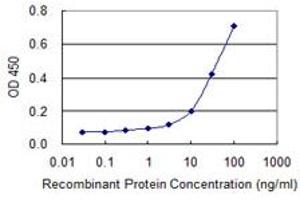 Detection limit for recombinant GST tagged BCL2L14 is 1 ng/ml as a capture antibody. (BCL2L14 抗体  (AA 1-327))