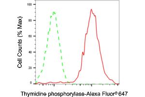 Flow cytometric analysis of Thymidine phosphorylase expression in HaCaT cells using Thymidine phosphorylase antibody (ABIN7800552), 1:2,000).