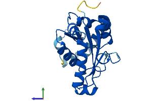 AlphaFold protein structure predicition of Mouse Recombinant Pmvk Protein, UniprotID Q9D1G2