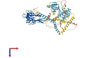 Friend Virus Susceptibility 4 (FV4) (AA 1-679) protein (His tag)