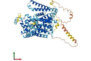 Protein Structure (PS) image for Solute Carrier Family 7 (Cationic Amino Acid Transporter, Y+ System), Member 2 (SLC7A2) (AA 1-657) protein (His tag) (ABIN7562927)