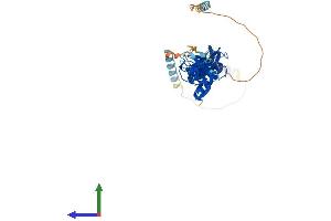 Protein Structure (PS) image for Leupaxin (LPXN) (AA 1-386) protein (His tag) (ABIN7560434)