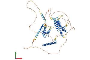 Protein Structure (PS) image for Nucleolar Protein 4 (NOL4) (AA 1-638) protein (His tag) (ABIN7549895)