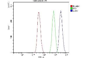 Flow Cytometry analysis of A431 cells using anti-LSM7 antibody (ABIN7598937). (LSM7 抗体  (AA 1-103))