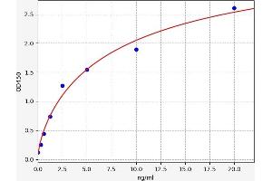 ELISA image for Signal Transducer and Activator of Transcription 1, 91kDa (STAT1) ELISA Kit (ABIN6970212)