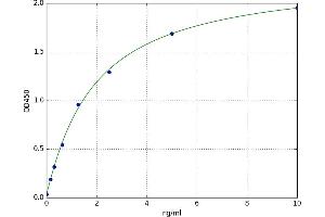 Procollagen, Type II ELISA Kit