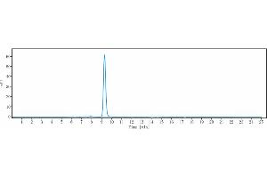 anti-IL5 (Mepolizumab Biosimilar) antibody