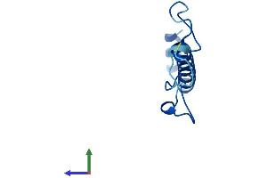 Protein Structure (PS) image for NADH Dehydrogenase (Ubiquinone) 1 alpha Subcomplex, 4 (NDUFA4) (AA 1-82) protein (Fc Tag) (ABIN7557792)