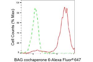 Flow cytometric analysis of BAG cochaperone 6 expression in HepG2 cells using BAG cochaperone 6 antibody (ABIN7800912), 1:2,000). (Recombinant BAG Cochaperone 6 抗体)