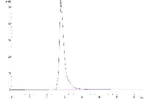 Size-exclusion chromatography-High Pressure Liquid Chromatography (SEC-HPLC) image for CD274 (PD-L1) (AA 19-238) protein (mFc Tag) (ABIN7275431)