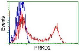 Flow Cytometry (FACS) image for anti-Protein Kinase D2 (PKD2) antibody (ABIN1500414) (PKD2 抗体)