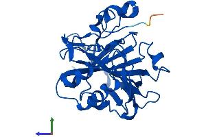 Protein Structure (PS) image for Carbonic Anhydrase XIII (CA13) (AA 1-262) protein (His tag) (ABIN7552795)